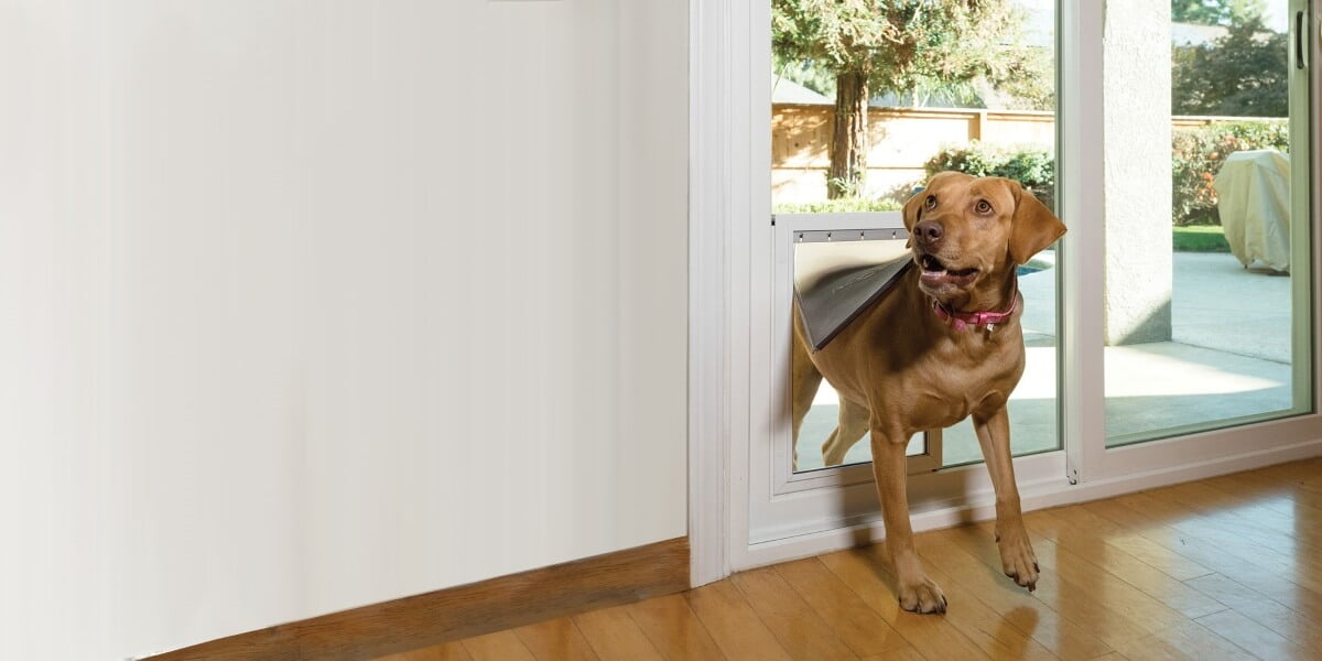 Freedom+ In-Glass Pet Doors Freedom+ In-Glass Pet Doors